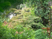 1 Arboretum Bílá Lhota