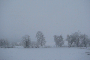 135 Nedvězí - V směr