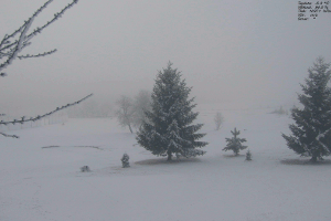 166 Golfového hřiště Čertovo Břemeno